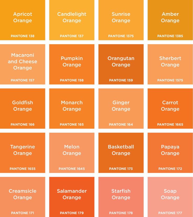 Orange Colour Combination (Tricity Property Guru) - Tricity Property Guru